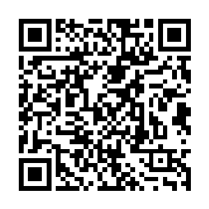 就是整个北伐大军最先和女真南下铁骑撞上的部队二维码生成