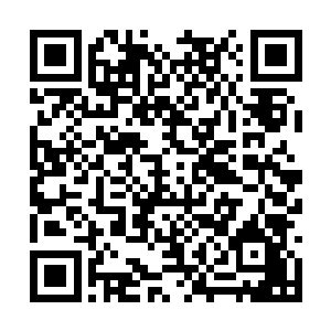 就是整整一大片疆土重新回归到了人族的怀抱当中二维码生成