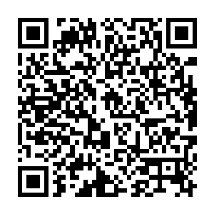 就是明天早上要和一头恐龙坐在同一张桌子上吃早餐也不会让她觉得意外――二维码生成