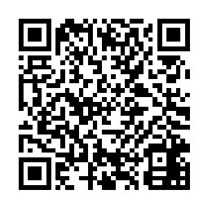 就是昨晚破解戴恩恩电脑密码的那个家伙显得很平静二维码生成