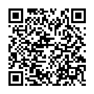 就是最开始的采泥子爵也在挑战坑底下被挖了出来二维码生成