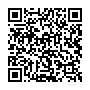 就是有一万个赤巢摆在他面前他也一点都不稀罕二维码生成