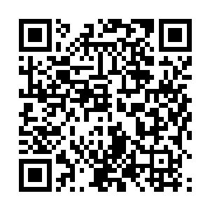 就是本市几十家重点酒类企业和市区级相关部门负责人二维码生成