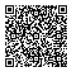 就是来了定王府探望皇后和华天香或者偶尔寻一下不肯回家的徐清尘侍卫也是直接请她们进来就是了二维码生成