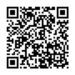 就是此来究竟是为何寇文紫压根是一点都不知道二维码生成