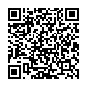 就是现在那几名高大威武的皇家卫队就能把她给灭了二维码生成