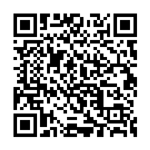 就是用星辰崩也不能够将眼前的十六只魂兽消灭二维码生成