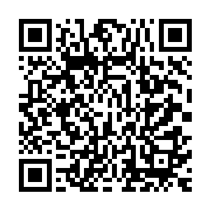 就是由上元盟和九大宗门联合发飙声明支持我在南方创立宗门二维码生成