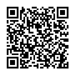 就是白痴都能看出来虞柔那小丫头心中很是喜欢你二维码生成