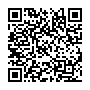 就是看中了我们俩强的制片能力海外人脉明星水准二维码生成