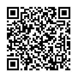 就是看看……他是否会动用圣蛊盖来解决别墅里面的东西二维码生成