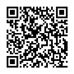 就是紫烟星球上的药园都生生地用光了五个药园中的草药二维码生成