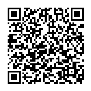 就是纯粹的靠着自己肉体还没有完全蜕化的武力来与野兽魔物相斗二维码生成