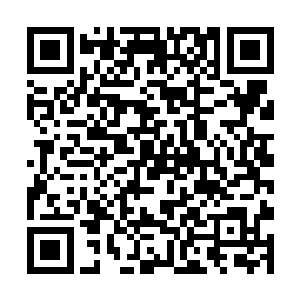 就是结丹期的师叔看到这么多的妖兽也会头皮发麻吧二维码生成