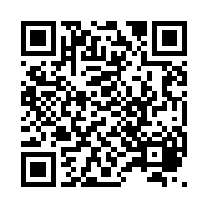 就是给你们这些年轻觉醒者来这里找伴的二维码生成