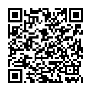 就是罗宾给出的创造了秘境的上古巫师组织名字二维码生成