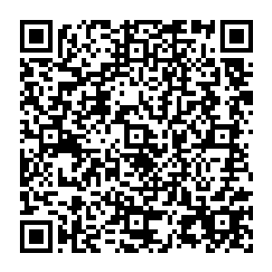 就是老牌强队前w1战队的打野选手厂长和辅助选手卷毛因为不满战队低迷现状单方面与战队终止合同二维码生成