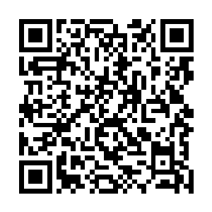 就是肚子不太饿的齐修远和比较讲究的荣轩也停下了说话二维码生成