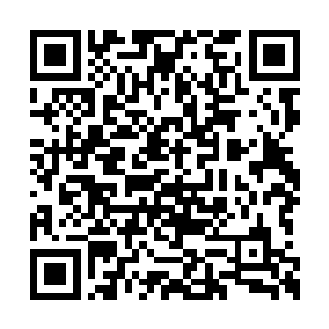 就是能不能连秦嫣然这个学霸校花也一起干掉呢二维码生成