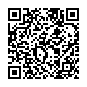 就是能拥有从元素界源源不绝的凝聚某一系元素晶体的能力二维码生成