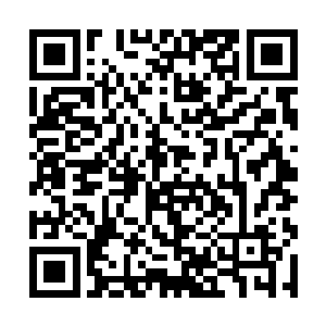 就是节俭如小熊也从未缺钱到需要和别人张口的地步二维码生成