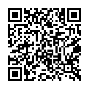 就是董大郎再凶悍的出现在这位陈指挥使的面前二维码生成