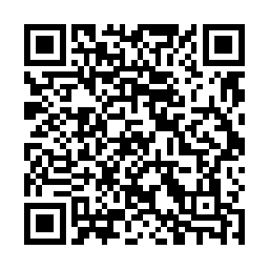 就是被埋伏在这里的旱地蚂蝗突然围拢上吸干了血而死二维码生成