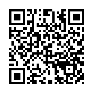 就是被蚕虫噬咬过的桑叶弥补大半叶肉二维码生成