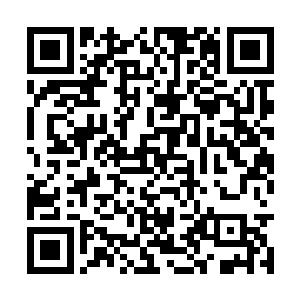 就是要亲自出面说服直隶巡阅使兼直隶提督袁世凯二维码生成