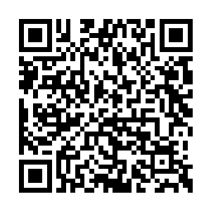 就是要你们帮我寻找一个达到不堕境界的修真者二维码生成