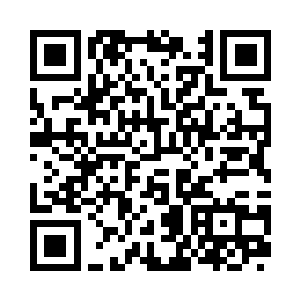 就是要等这些土司给出他们的答案了二维码生成