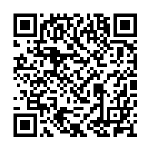 就是要避免太多的外部干扰来影响到县里的决策二维码生成