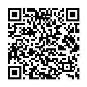 就是觉得死的那些人不能为我所用有些可惜罢了二维码生成