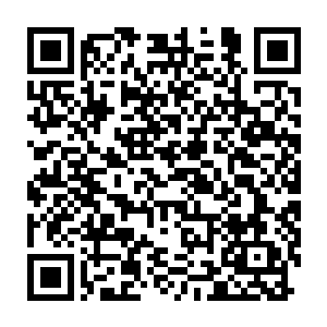 就是让已经远在十里之外的金色白罴扒拉海水的逃走速度变得更快了二维码生成