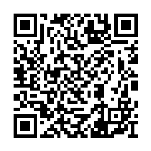 就是说她现在如果进入没有任何限制的任务世界二维码生成