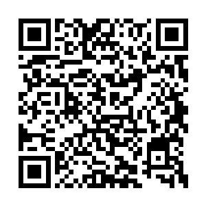 就是说祝南镇真正出产奇石的唯一地方是雁湖村二维码生成