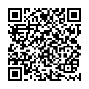 就是豁出自己的性命也一定要把许紫烟安全地带回沧澜宗二维码生成