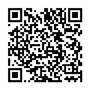 就是赵家大少和二爷的死都和此人有不清不楚的联系二维码生成