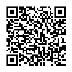 就是身为结丹期第二层的苦烟一下子也释放不出来这么多的法术二维码生成