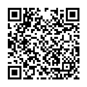 就是躺在床上的龚家家主也是双目空洞地望着屋顶二维码生成