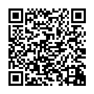 就是这个家伙在十二阴阳轮转大阵之中将我的两个傀儡给杀了二维码生成