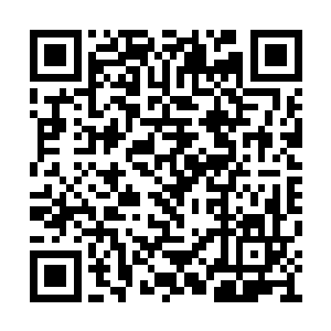 就是这个死胖子把晨星公司弄成了现在这个样子二维码生成