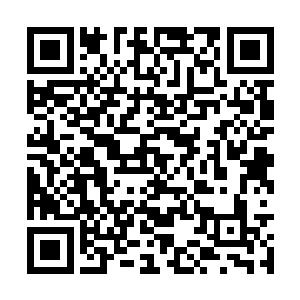 就是这些前来营救秦方的山民们也都是目瞪口呆的二维码生成