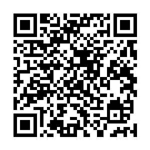 就是这女子和孔文栋他们为争夺一个上古隐秘洞府在战斗二维码生成