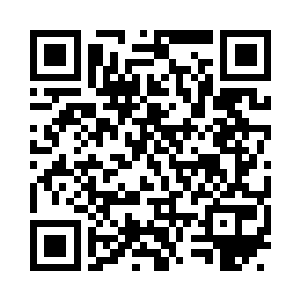 就是这样一群少年正看稀罕似的围着他家猫二维码生成