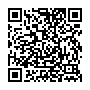 就是这样的本体强度依旧不能够抵挡雷灵体内的雷霆之力二维码生成