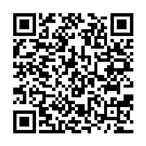 就是那一颗红金龙髓丹和金蛇赤胆丸让他的实力突飞猛进二维码生成