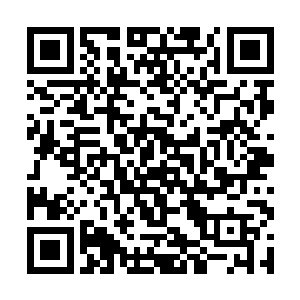 就是那个因为跟南宫流云相恋相离而闻名天下的苏落二维码生成