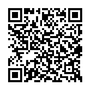 就是那个天尊后期巅峰的大地族虽然没有飞起来二维码生成