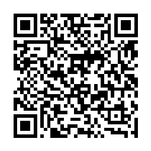 就是那个第一次来实施组织对你制裁的那个外国女人二维码生成